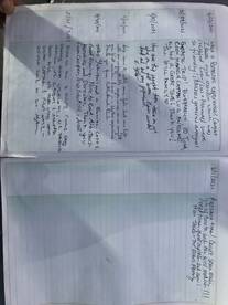 Cabo San Lucas Report Photo 1