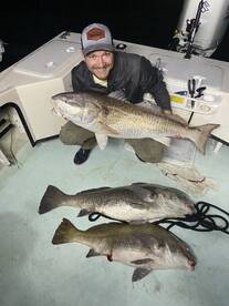 Cobia and Drum are heating up