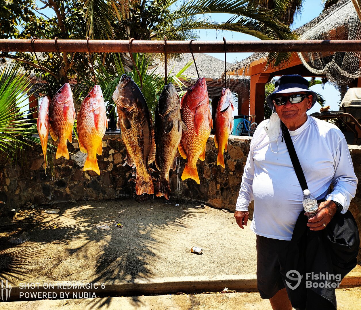 San Jose del Cabo Report Photo 0
