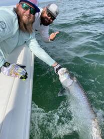 Tarpon Time