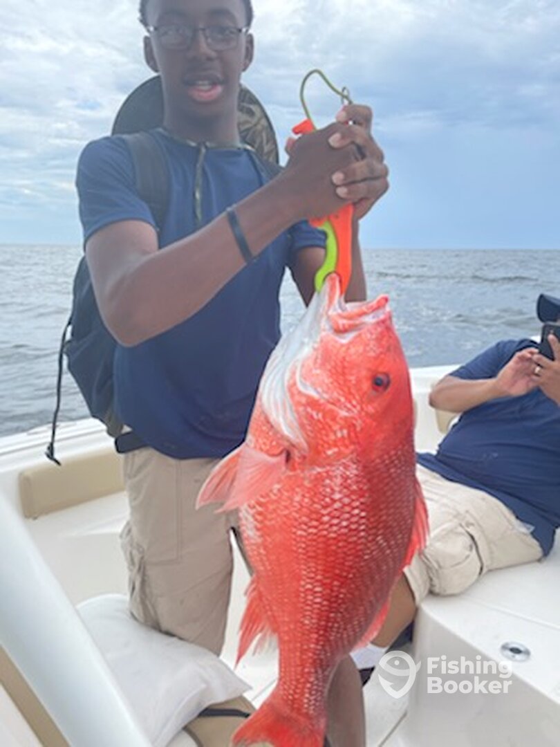 Biloxi Report Photo 0