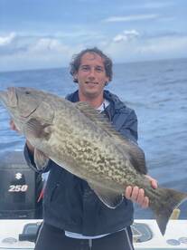 Big ol grouper sandwiches for dinner! 