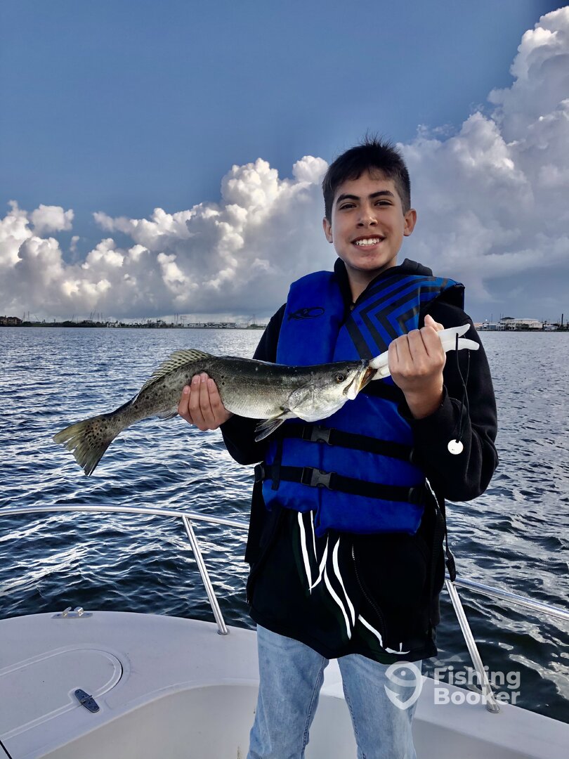 Galveston Report Photo 0