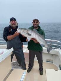 Montauk Report Photo 2