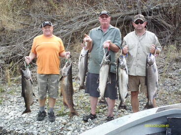 Fall King Salmon 