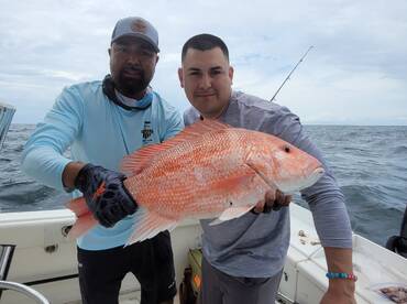 Red snapper 