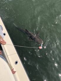 Dad & Son 6/5/21 4 hr. PM trip