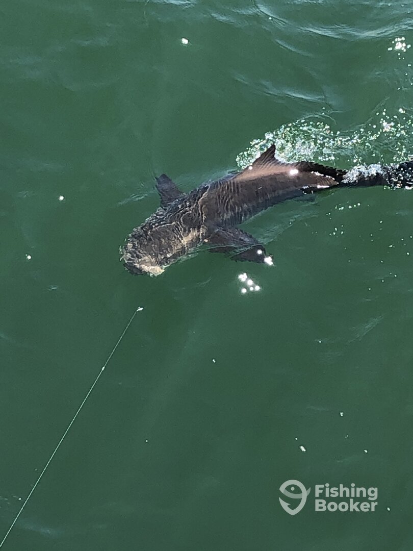 Poquoson Report Photo 0
