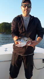 Narragansett Report Photo 1