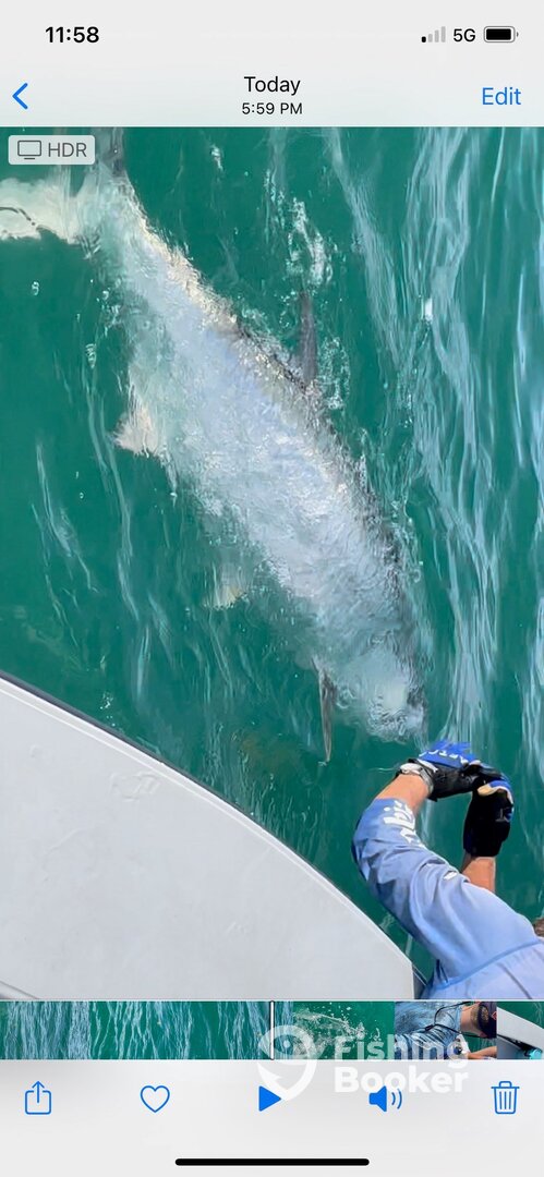 Crystal River Report Photo 0