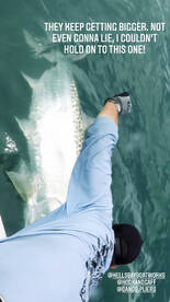 Crystal River Report Photo 1