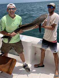 6 Hour Nearshore Spadefish/ Cobia