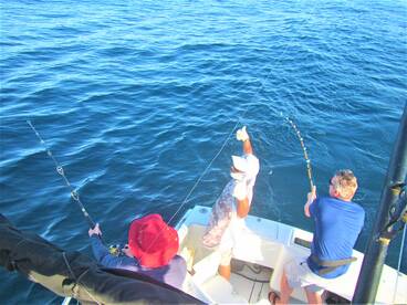 Cabo San Lucas Report Photo 2