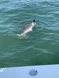 Poquoson Report Photo 2