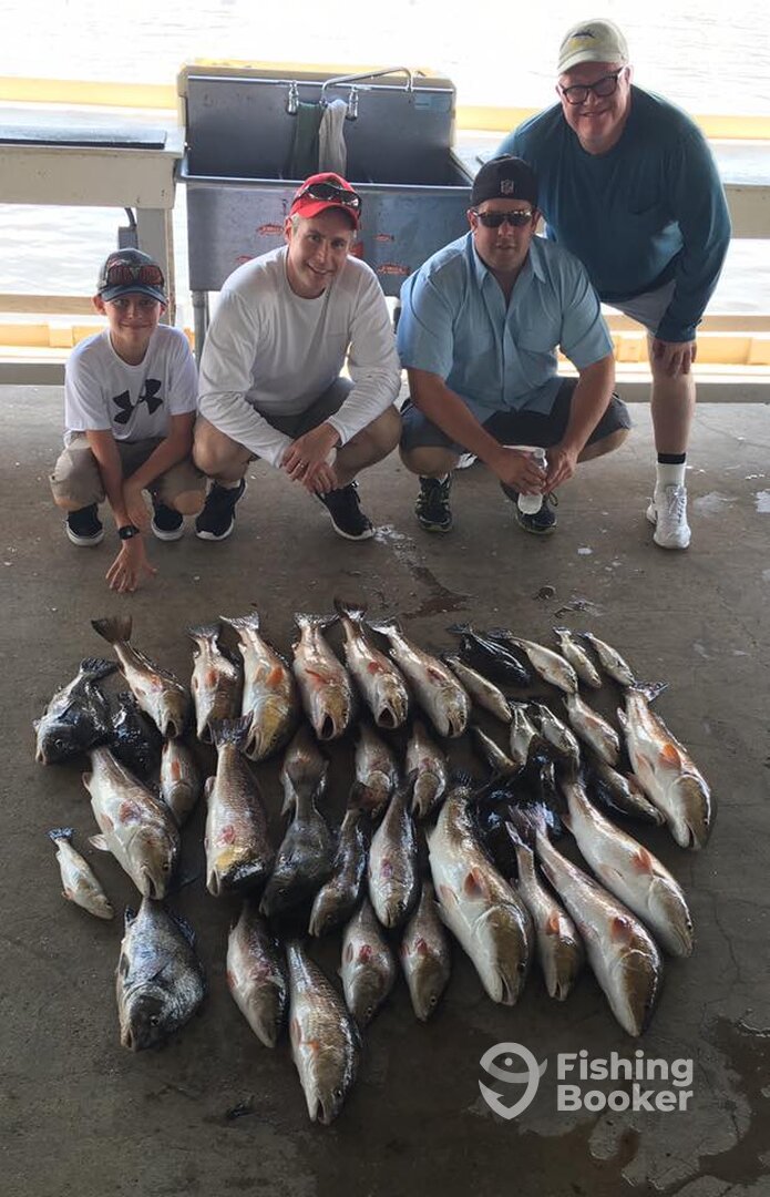 Barataria Report Photo 0