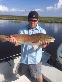 Barataria Report Photo 1
