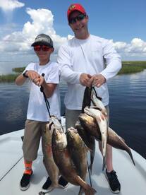 Barataria Report Photo 2