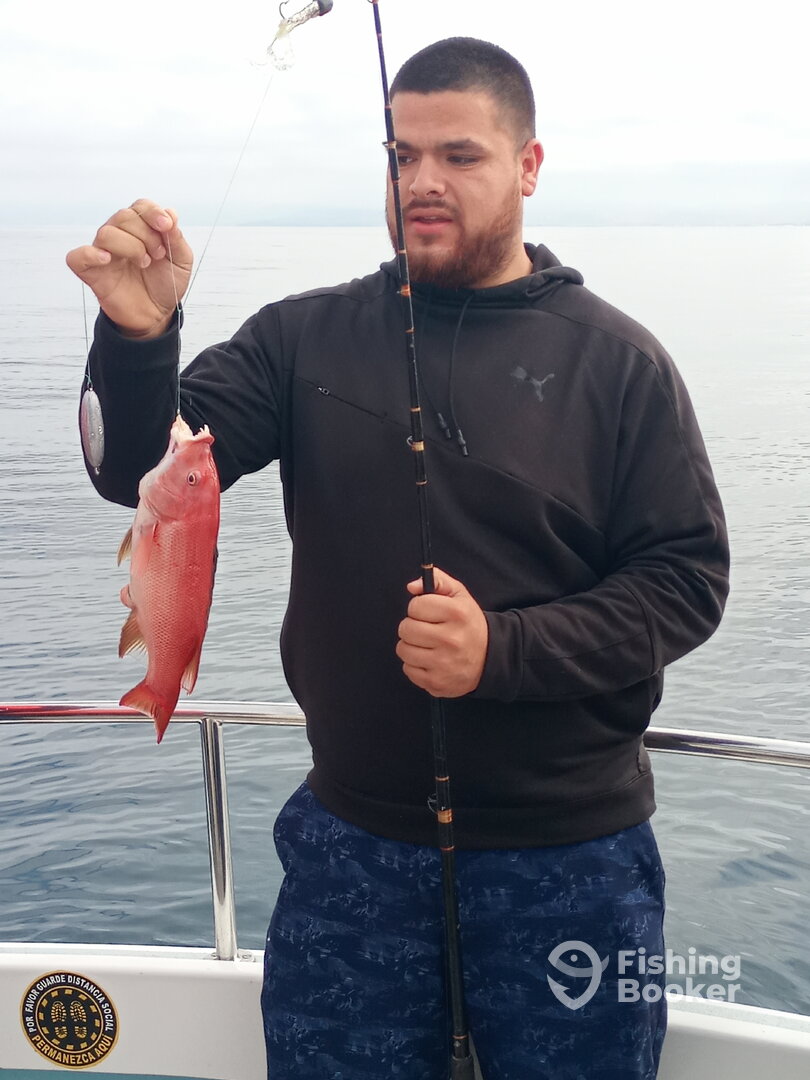 Ensenada Report Photo 0
