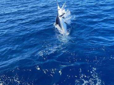 Fernandina Beach Report Photo 2
