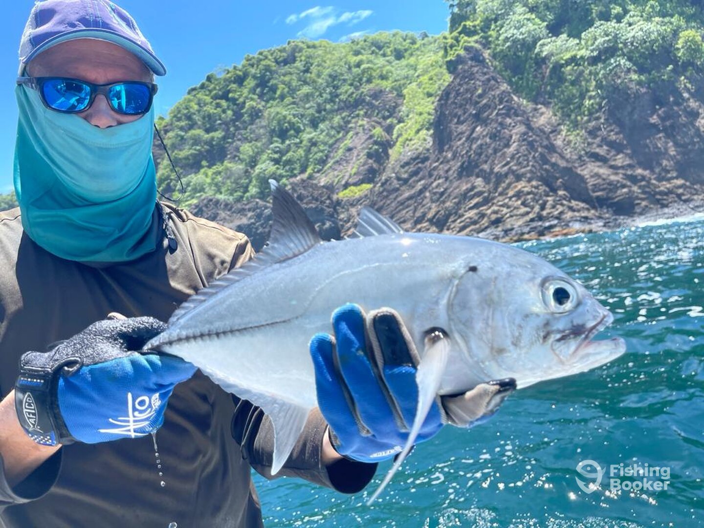 Bigeye trevally