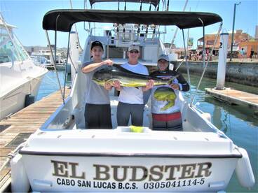 Cabo San Lucas Report Photo 2