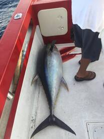 San Jose del Cabo Report Photo 2