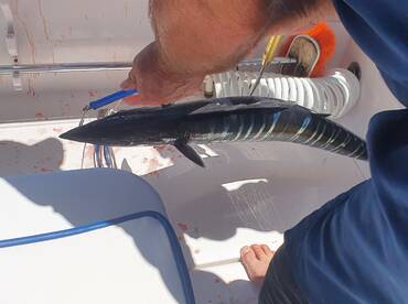 Panama City Report Photo 2
