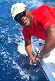 Sails and groupers are hot