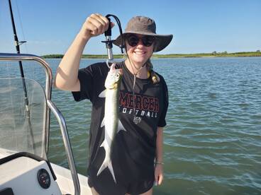 Port Orange Report Photo 2