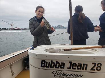 San Diego Report Photo 2