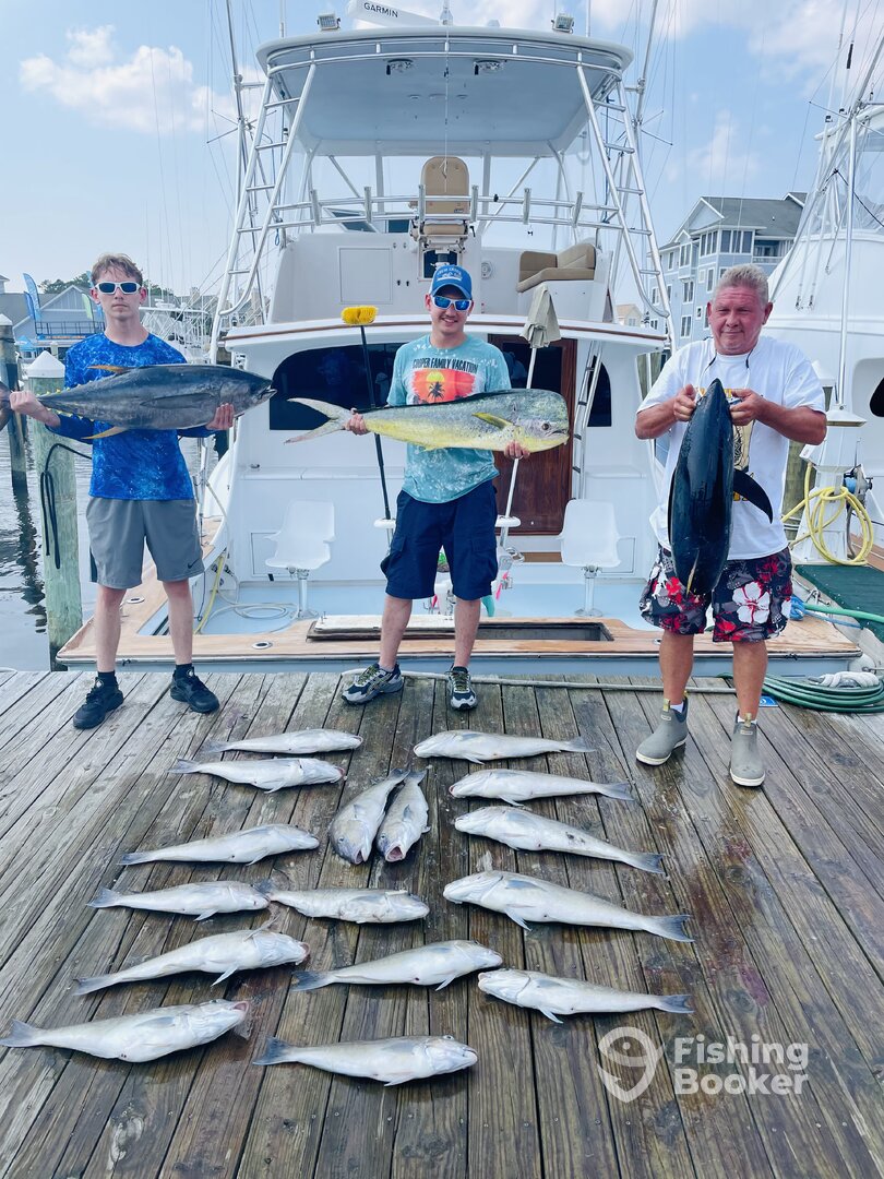 Manteo Report Photo 0