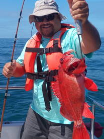 Ensenada Report Photo 1