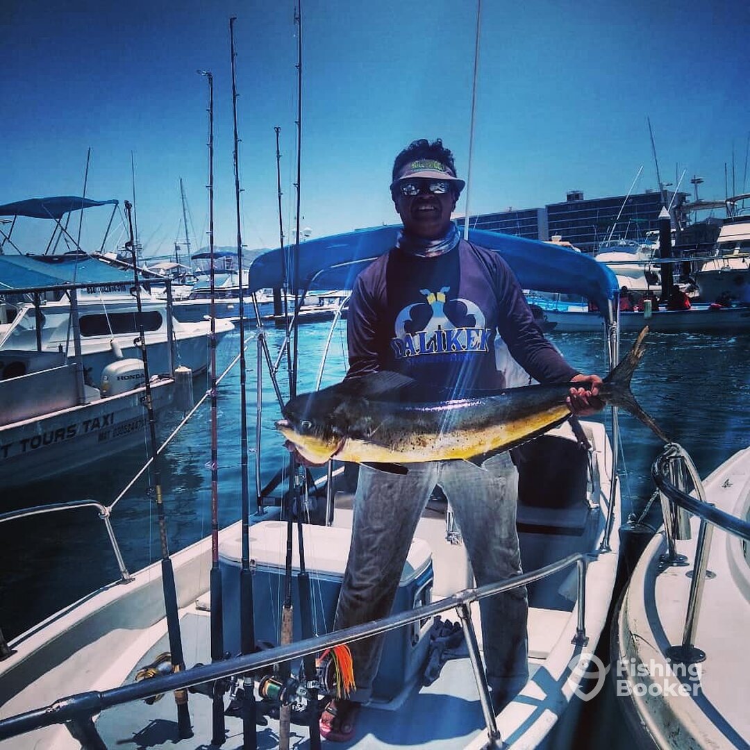 San Jose del Cabo Report Photo 0