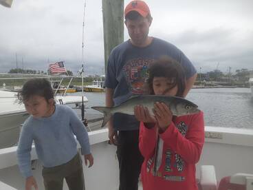 New York City Report Photo 1