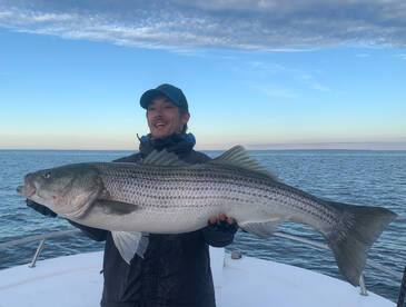 Dennis Report Photo 1