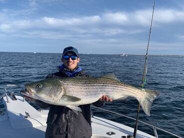 Dennis Report Photo 2