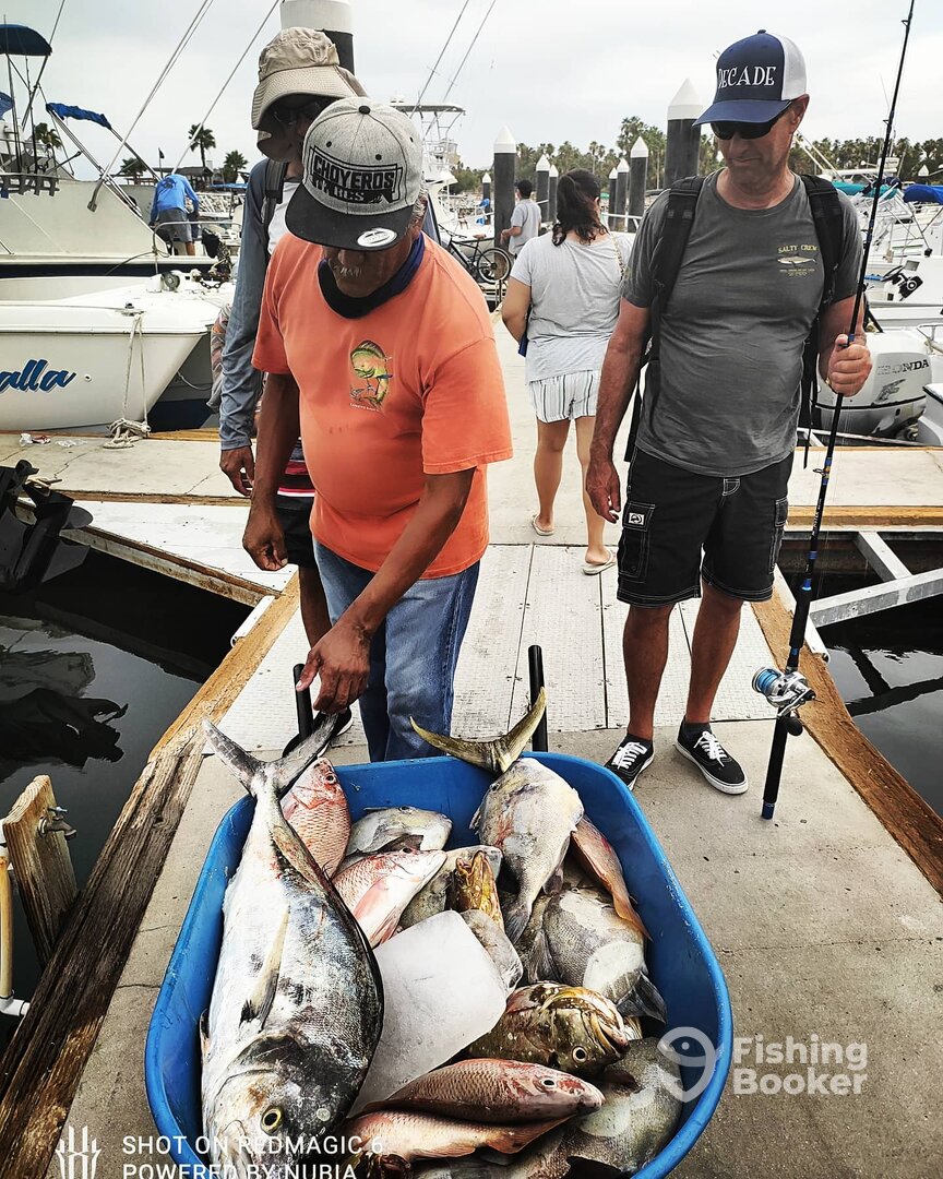 San Jose del Cabo Report Photo 0