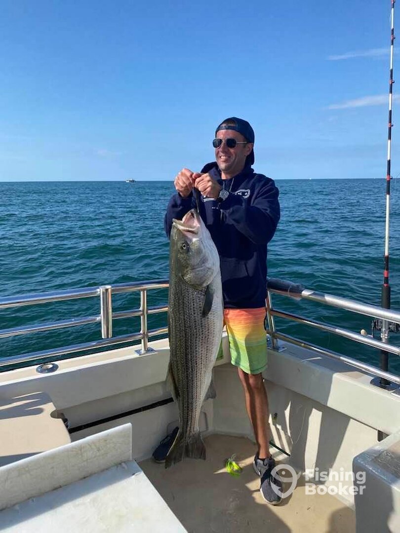 Montauk Report Photo 0