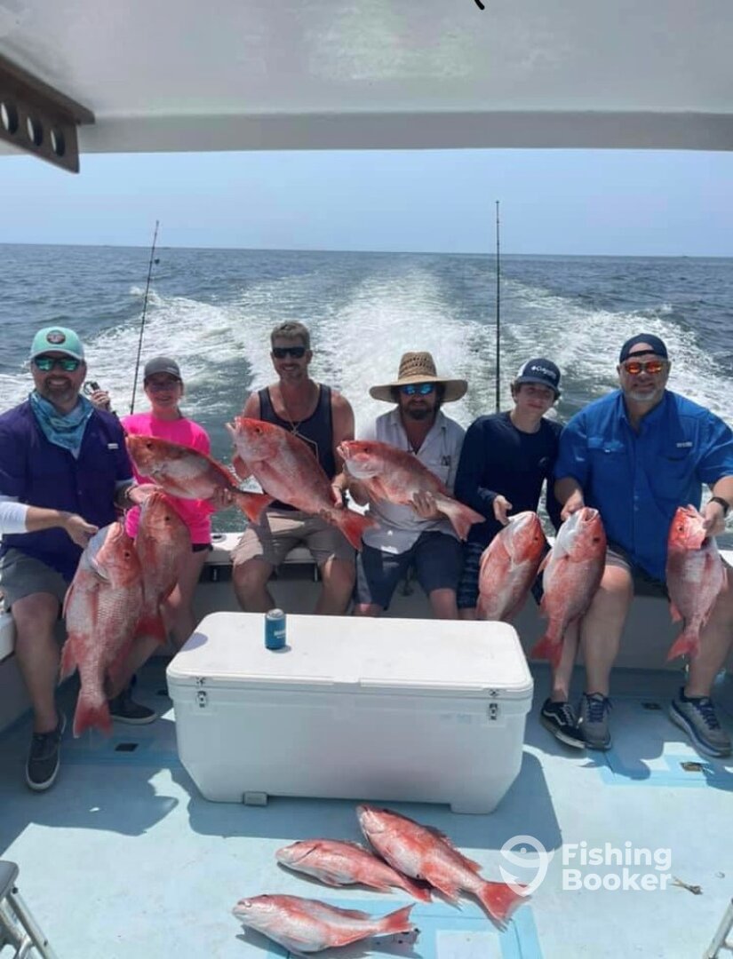 Snapper Season is in full swing