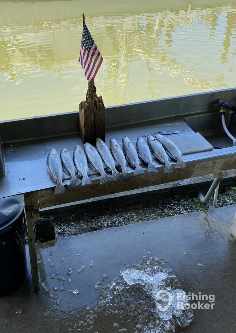 Galveston Report Photo 0