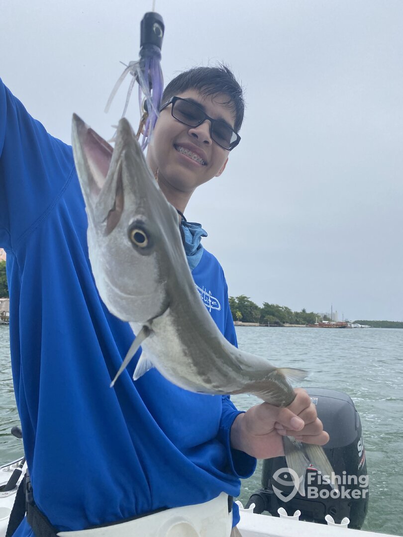 Cancún Report Photo 0