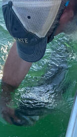 Fishing is heating up!!!