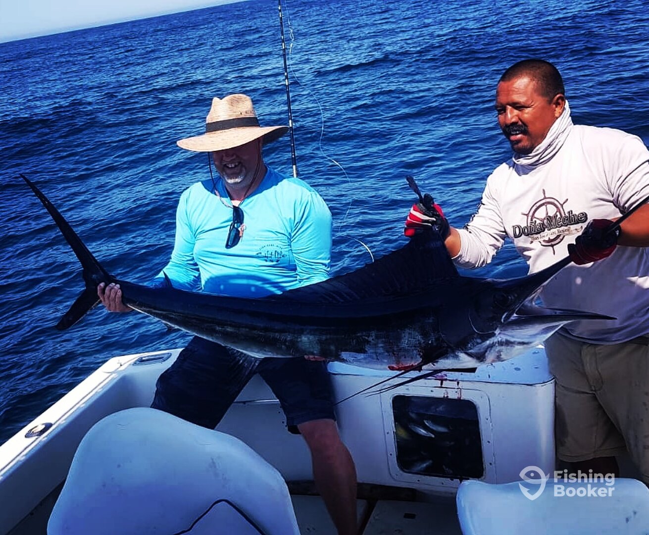 San Jose del Cabo Report Photo 0