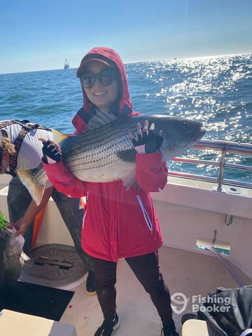 Montauk Report Photo 0