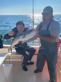 Montauk Report Photo 1