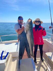 Montauk Report Photo 2