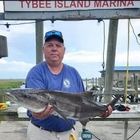 Kings and Cobia are heating up!