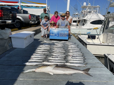 half day afternoon success