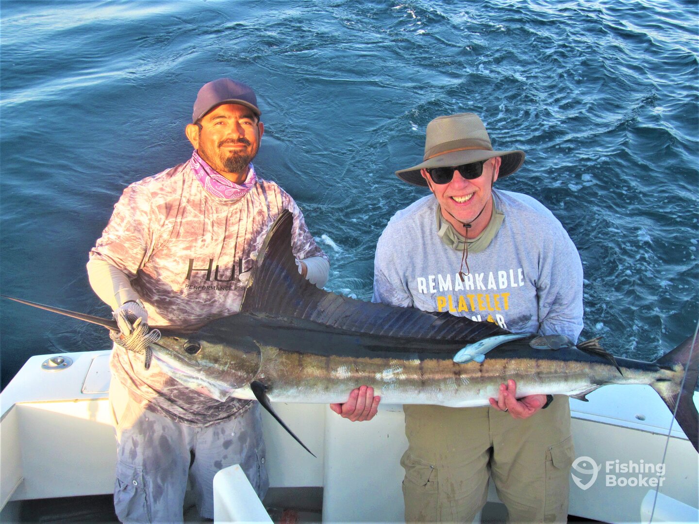 Cabo San Lucas Report Photo 0