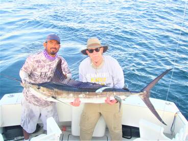 Cabo San Lucas Report Photo 2